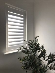 white shutters and olive tree